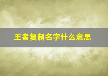 王者复制名字什么意思