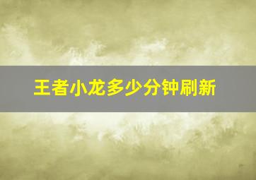 王者小龙多少分钟刷新