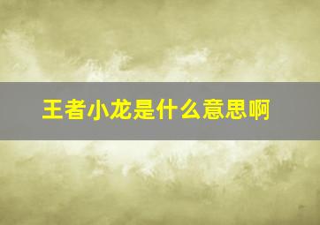 王者小龙是什么意思啊