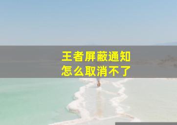 王者屏蔽通知怎么取消不了