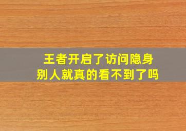 王者开启了访问隐身别人就真的看不到了吗