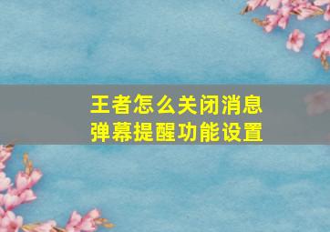 王者怎么关闭消息弹幕提醒功能设置