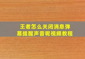 王者怎么关闭消息弹幕提醒声音呢视频教程