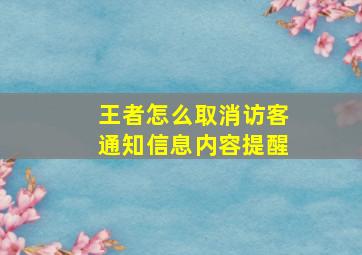 王者怎么取消访客通知信息内容提醒