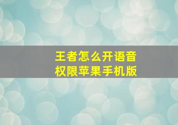 王者怎么开语音权限苹果手机版