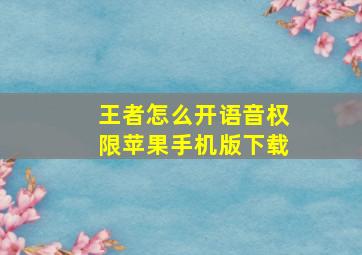 王者怎么开语音权限苹果手机版下载