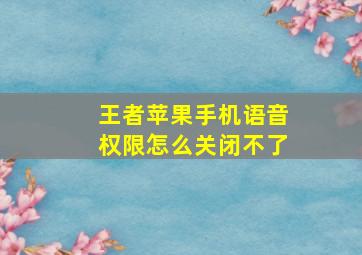 王者苹果手机语音权限怎么关闭不了