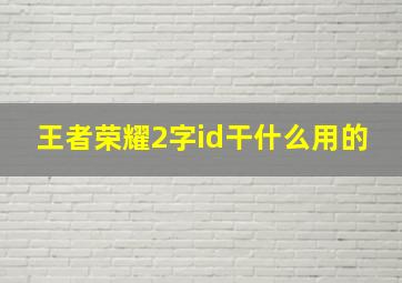 王者荣耀2字id干什么用的