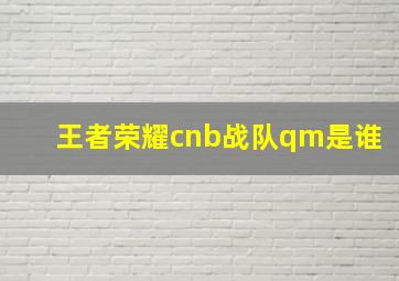 王者荣耀cnb战队qm是谁