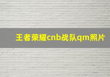 王者荣耀cnb战队qm照片