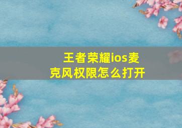 王者荣耀ios麦克风权限怎么打开