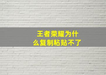 王者荣耀为什么复制粘贴不了