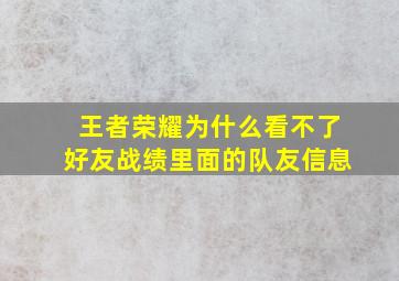 王者荣耀为什么看不了好友战绩里面的队友信息