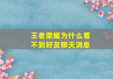 王者荣耀为什么看不到好友聊天消息