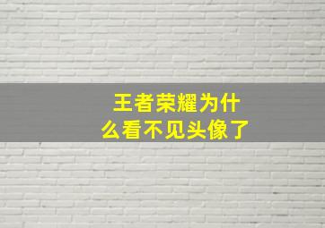 王者荣耀为什么看不见头像了