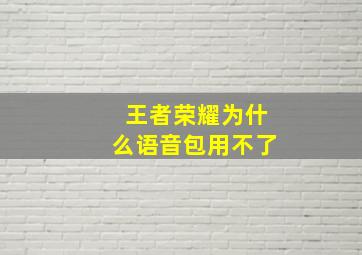 王者荣耀为什么语音包用不了