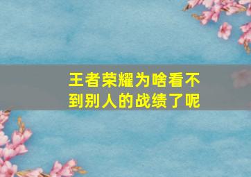 王者荣耀为啥看不到别人的战绩了呢