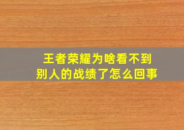 王者荣耀为啥看不到别人的战绩了怎么回事