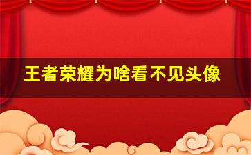 王者荣耀为啥看不见头像