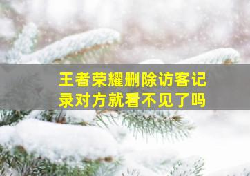 王者荣耀删除访客记录对方就看不见了吗