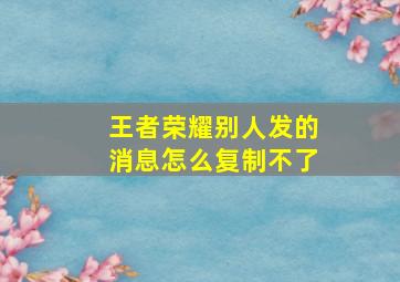 王者荣耀别人发的消息怎么复制不了