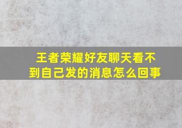 王者荣耀好友聊天看不到自己发的消息怎么回事