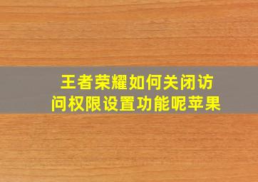 王者荣耀如何关闭访问权限设置功能呢苹果