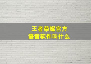 王者荣耀官方语音软件叫什么