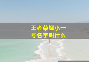 王者荣耀小一号名字叫什么