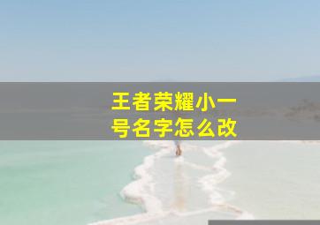 王者荣耀小一号名字怎么改