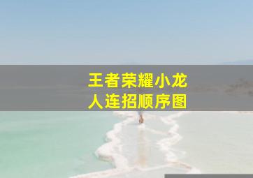 王者荣耀小龙人连招顺序图