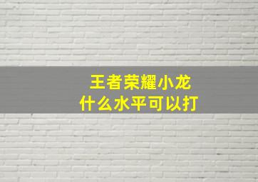 王者荣耀小龙什么水平可以打