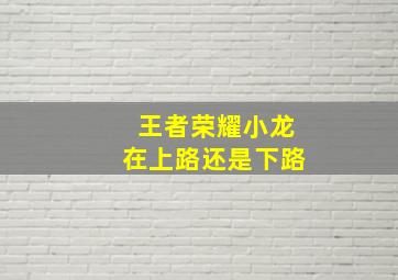 王者荣耀小龙在上路还是下路