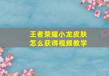 王者荣耀小龙皮肤怎么获得视频教学