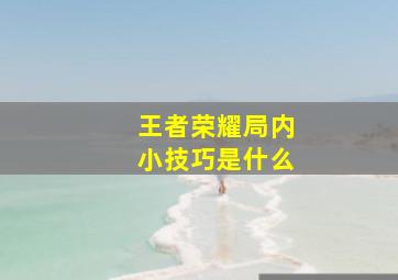 王者荣耀局内小技巧是什么