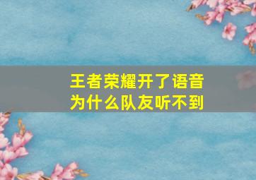 王者荣耀开了语音为什么队友听不到