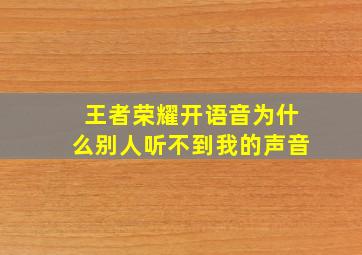 王者荣耀开语音为什么别人听不到我的声音