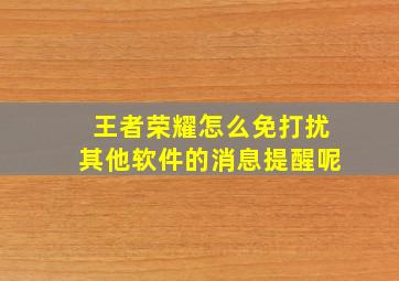 王者荣耀怎么免打扰其他软件的消息提醒呢