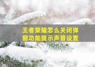 王者荣耀怎么关闭弹窗功能提示声音设置