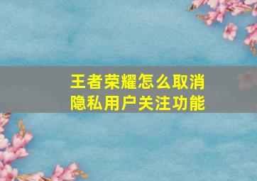 王者荣耀怎么取消隐私用户关注功能