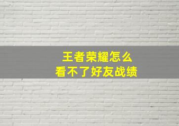 王者荣耀怎么看不了好友战绩