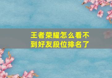 王者荣耀怎么看不到好友段位排名了