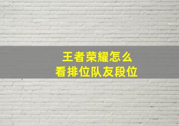 王者荣耀怎么看排位队友段位