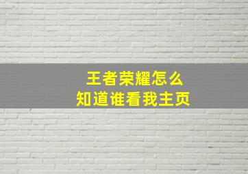 王者荣耀怎么知道谁看我主页