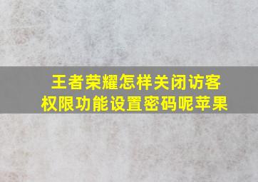 王者荣耀怎样关闭访客权限功能设置密码呢苹果