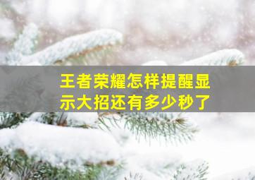 王者荣耀怎样提醒显示大招还有多少秒了