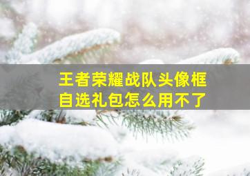 王者荣耀战队头像框自选礼包怎么用不了