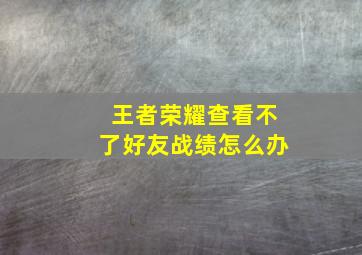 王者荣耀查看不了好友战绩怎么办