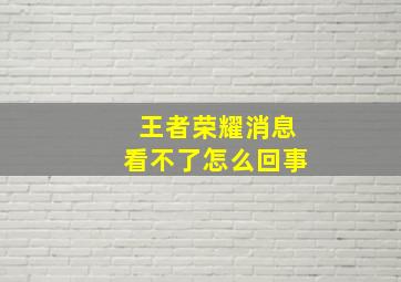 王者荣耀消息看不了怎么回事