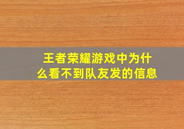 王者荣耀游戏中为什么看不到队友发的信息